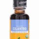 Boost Health: Cilantro Herbal Extract Benefits Now! | The Ultimate Herbal Remedies Guide: Natural Healing for a Healthier Life