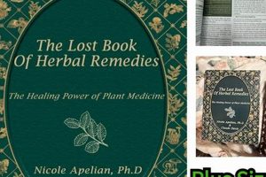 Herbal Remedies: The Lost Book's Guide to Herpes Relief The Ultimate Herbal Remedies Guide: Natural Healing for a Healthier Life Herbal Remedies: The Lost Book's Guide to Herpes Relief | The Ultimate Herbal Remedies Guide: Natural Healing for a Healthier Life