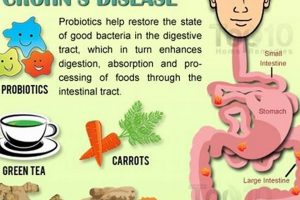 Natural Herbal Remedies for Crohn's Disease Relief The Ultimate Herbal Remedies Guide: Natural Healing for a Healthier Life Natural Herbal Remedies for Crohn's Disease Relief | The Ultimate Herbal Remedies Guide: Natural Healing for a Healthier Life