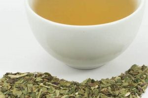 Discover Mate Herbal Tea: Benefits & Brew Guide The Ultimate Herbal Remedies Guide: Natural Healing for a Healthier Life Discover Mate Herbal Tea: Benefits & Brew Guide | The Ultimate Herbal Remedies Guide: Natural Healing for a Healthier Life