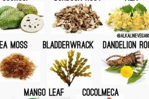 Natural Herbal for High Blood Pressure: Remedies & Benefits The Ultimate Herbal Remedies Guide: Natural Healing for a Healthier Life Natural Herbal for High Blood Pressure: Remedies & Benefits | The Ultimate Herbal Remedies Guide: Natural Healing for a Healthier Life