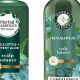 Best Herbal Essences Scalp Balance: Tips & Products | The Ultimate Herbal Remedies Guide: Natural Healing for a Healthier Life