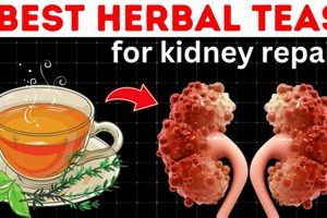 Best Herbal Tea for Kidney Health: Benefits & Blends The Ultimate Herbal Remedies Guide: Natural Healing for a Healthier Life Best Herbal Tea for Kidney Health: Benefits & Blends | The Ultimate Herbal Remedies Guide: Natural Healing for a Healthier Life