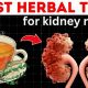 Best Herbal Tea for Kidney Health: Benefits &amp; Blends | The Ultimate Herbal Remedies Guide: Natural Healing for a Healthier Life