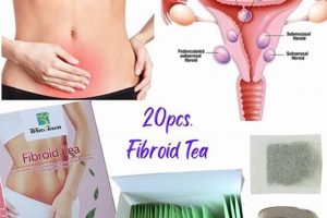 Best Herbal Tea for Fibroids: Relief & Support The Ultimate Herbal Remedies Guide: Natural Healing for a Healthier Life Best Herbal Tea for Fibroids: Relief & Support | The Ultimate Herbal Remedies Guide: Natural Healing for a Healthier Life