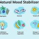 Natural Herbal Mood Stabilizers: Finding Calm | The Ultimate Herbal Remedies Guide: Natural Healing for a Healthier Life