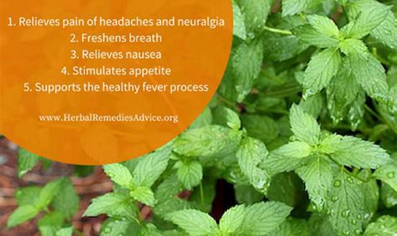 Unlocking Peppermint Herbal Benefits: Uses & Advantages The Ultimate Herbal Remedies Guide: Natural Healing for a Healthier Life Unlocking Peppermint Herbal Benefits: Uses & Advantages | The Ultimate Herbal Remedies Guide: Natural Healing for a Healthier Life