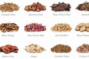 Boost Fertility: Chinese Herbal Remedies Explained The Ultimate Herbal Remedies Guide: Natural Healing for a Healthier Life Boost Fertility: Chinese Herbal Remedies Explained | The Ultimate Herbal Remedies Guide: Natural Healing for a Healthier Life