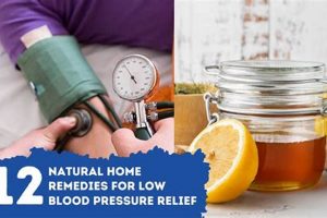 Natural Boost: Herbal Remedies for Low Blood Pressure Today The Ultimate Herbal Remedies Guide: Natural Healing for a Healthier Life Natural Boost: Herbal Remedies for Low Blood Pressure Today | The Ultimate Herbal Remedies Guide: Natural Healing for a Healthier Life