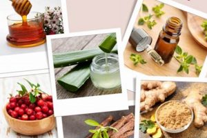 Natural Boost: Herbal Remedies for H Pylori Relief Guide The Ultimate Herbal Remedies Guide: Natural Healing for a Healthier Life Natural Boost: Herbal Remedies for H Pylori Relief Guide | The Ultimate Herbal Remedies Guide: Natural Healing for a Healthier Life