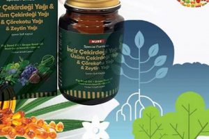 Best Herbal Vitamins: Natural Boost + Health! The Ultimate Herbal Remedies Guide: Natural Healing for a Healthier Life Best Herbal Vitamins: Natural Boost + Health! | The Ultimate Herbal Remedies Guide: Natural Healing for a Healthier Life