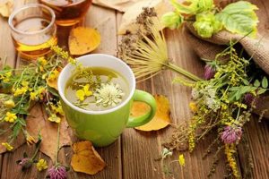 Natural Healing: Herbal Remedies Guide & Benefits The Ultimate Herbal Remedies Guide: Natural Healing for a Healthier Life Natural Healing: Herbal Remedies Guide & Benefits | The Ultimate Herbal Remedies Guide: Natural Healing for a Healthier Life