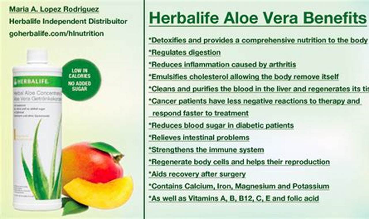 Unlock Herbal Aloe Concentrate Benefits: Your Guide+ The Ultimate Herbal Remedies Guide: Natural Healing for a Healthier Life Unlock Herbal Aloe Concentrate Benefits: Your Guide+ | The Ultimate Herbal Remedies Guide: Natural Healing for a Healthier Life