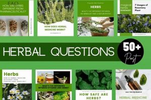 Community Herbal Social: Share & Grow Your Wellness The Ultimate Herbal Remedies Guide: Natural Healing for a Healthier Life Community Herbal Social: Share & Grow Your Wellness | The Ultimate Herbal Remedies Guide: Natural Healing for a Healthier Life