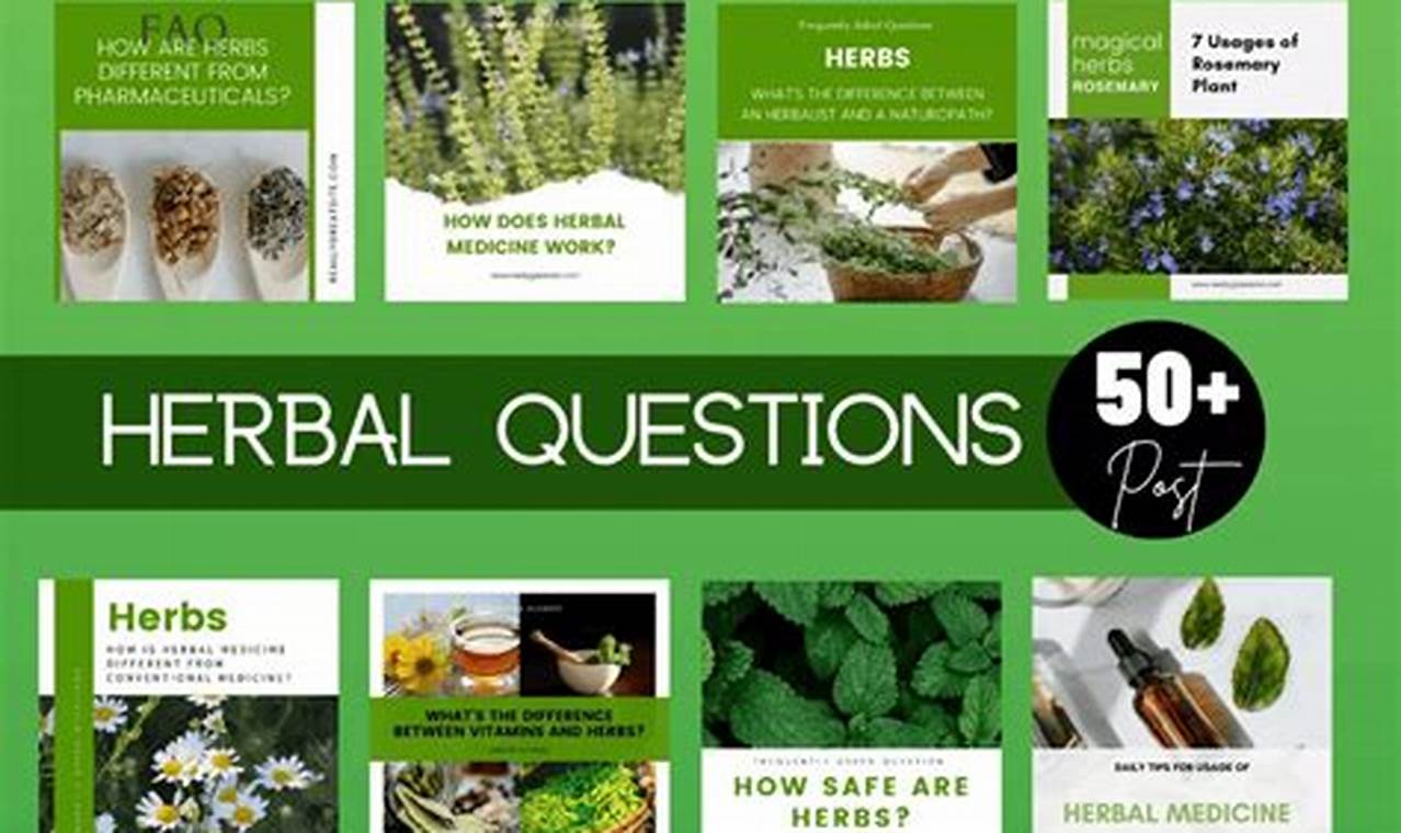 Community Herbal Social: Share & Grow Your Wellness The Ultimate Herbal Remedies Guide: Natural Healing for a Healthier Life Community Herbal Social: Share & Grow Your Wellness | The Ultimate Herbal Remedies Guide: Natural Healing for a Healthier Life