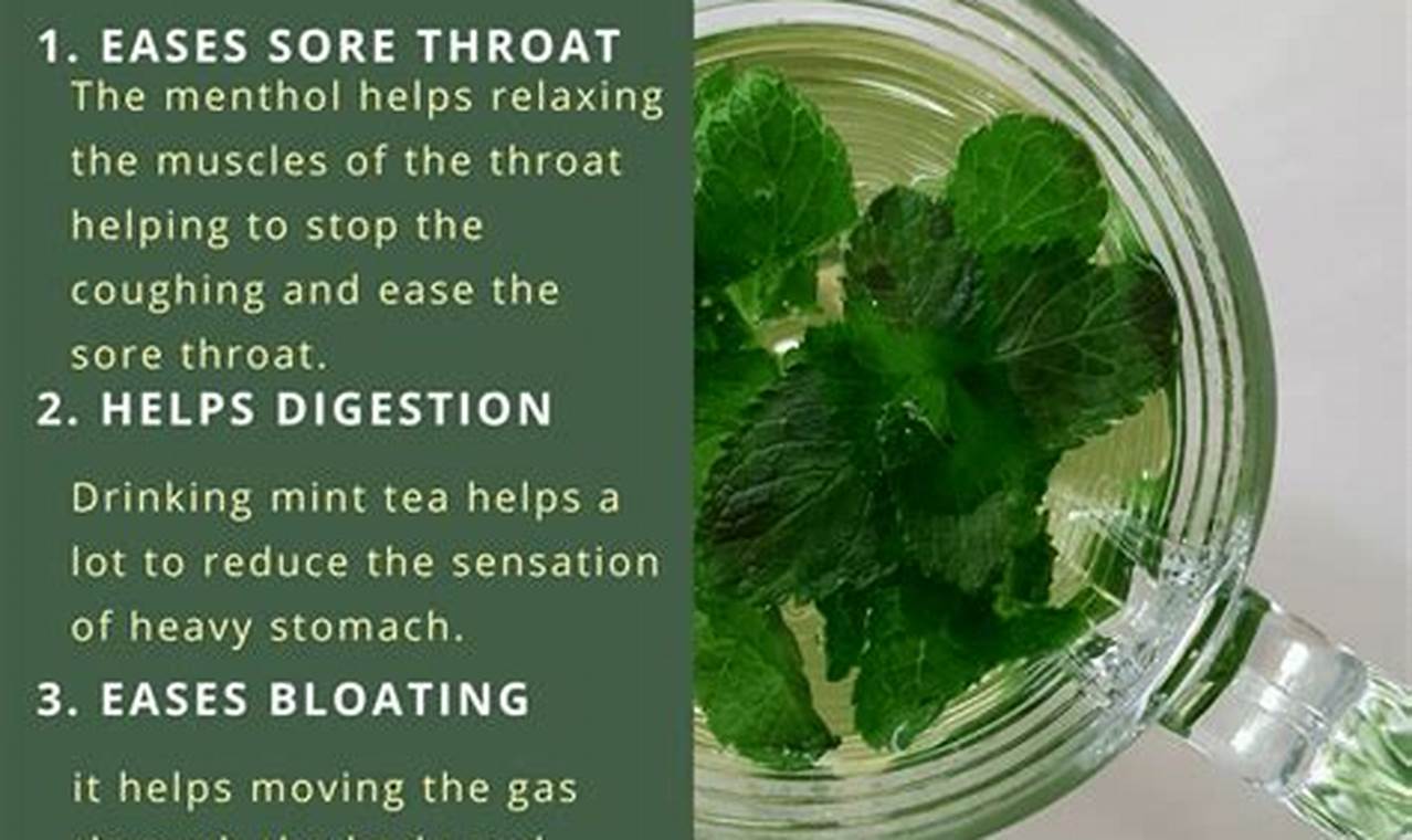 Discover: Herbal Mint Tea Benefits + Side Effects The Ultimate Herbal Remedies Guide: Natural Healing for a Healthier Life Discover: Herbal Mint Tea Benefits + Side Effects | The Ultimate Herbal Remedies Guide: Natural Healing for a Healthier Life