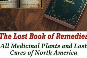Get The Lost Book of Herbal Remedies PDF: Free Download + Tips The Ultimate Herbal Remedies Guide: Natural Healing for a Healthier Life Get The Lost Book of Herbal Remedies PDF: Free Download + Tips | The Ultimate Herbal Remedies Guide: Natural Healing for a Healthier Life
