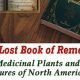 Get The Lost Book of Herbal Remedies PDF: Free Download + Tips | The Ultimate Herbal Remedies Guide: Natural Healing for a Healthier Life
