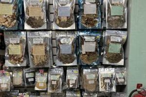 Lisa Herbal Reviews: Real Results, Real Opinions The Ultimate Herbal Remedies Guide: Natural Healing for a Healthier Life Lisa Herbal Reviews: Real Results, Real Opinions | The Ultimate Herbal Remedies Guide: Natural Healing for a Healthier Life