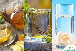 Natural Fever Herbal Treatment: Safe Relief + Tips The Ultimate Herbal Remedies Guide: Natural Healing for a Healthier Life Natural Fever Herbal Treatment: Safe Relief + Tips | The Ultimate Herbal Remedies Guide: Natural Healing for a Healthier Life