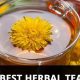 Best Tea: What Herbal Tea is Good for Kidneys? +Tips | The Ultimate Herbal Remedies Guide: Natural Healing for a Healthier Life