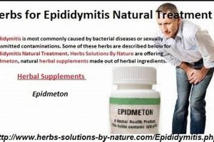 Natural Epididymitis Herbal Cure: Relief & Remedies The Ultimate Herbal Remedies Guide: Natural Healing for a Healthier Life Natural Epididymitis Herbal Cure: Relief & Remedies | The Ultimate Herbal Remedies Guide: Natural Healing for a Healthier Life