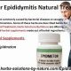 Natural Epididymitis Herbal Cure: Relief &amp; Remedies | The Ultimate Herbal Remedies Guide: Natural Healing for a Healthier Life