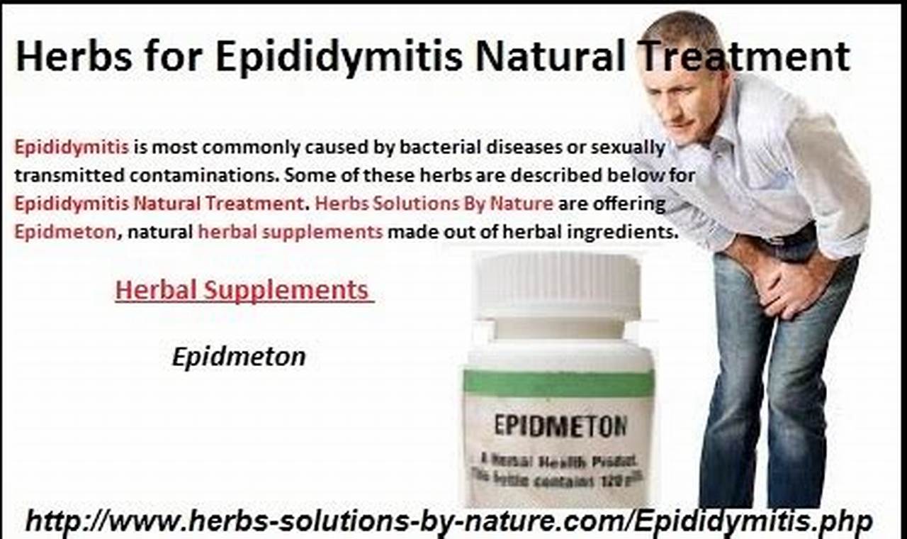 Natural Epididymitis Herbal Cure: Relief & Remedies The Ultimate Herbal Remedies Guide: Natural Healing for a Healthier Life Natural Epididymitis Herbal Cure: Relief & Remedies | The Ultimate Herbal Remedies Guide: Natural Healing for a Healthier Life