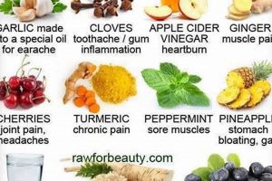Natural Herbal Pain Killers: Relief & Benefits The Ultimate Herbal Remedies Guide: Natural Healing for a Healthier Life Natural Herbal Pain Killers: Relief & Benefits | The Ultimate Herbal Remedies Guide: Natural Healing for a Healthier Life