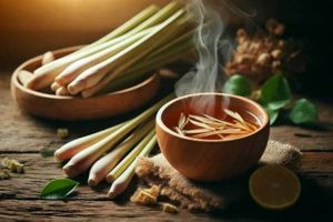 Natural Herbal Remedy for Neuropathic Pain Relief The Ultimate Herbal Remedies Guide: Natural Healing for a Healthier Life Natural Herbal Remedy for Neuropathic Pain Relief | The Ultimate Herbal Remedies Guide: Natural Healing for a Healthier Life