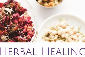 Natural Herbal Healing for Women: Remedies & Benefits The Ultimate Herbal Remedies Guide: Natural Healing for a Healthier Life Natural Herbal Healing for Women: Remedies & Benefits | The Ultimate Herbal Remedies Guide: Natural Healing for a Healthier Life