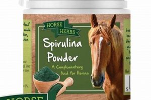 Boost Health with Natural Equine Herbal Supplements Today The Ultimate Herbal Remedies Guide: Natural Healing for a Healthier Life Boost Health with Natural Equine Herbal Supplements Today | The Ultimate Herbal Remedies Guide: Natural Healing for a Healthier Life