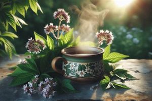 Unlock Valerian Herbal Tea Benefits: Sleep & Calm The Ultimate Herbal Remedies Guide: Natural Healing for a Healthier Life Unlock Valerian Herbal Tea Benefits: Sleep & Calm | The Ultimate Herbal Remedies Guide: Natural Healing for a Healthier Life