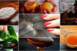 Natural Dandruff Herbal Remedies: Stop the Itch Now! The Ultimate Herbal Remedies Guide: Natural Healing for a Healthier Life Natural Dandruff Herbal Remedies: Stop the Itch Now! | The Ultimate Herbal Remedies Guide: Natural Healing for a Healthier Life