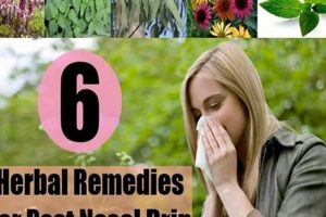Natural: Herbal Treatment for Post Nasal Drip Relief Guide The Ultimate Herbal Remedies Guide: Natural Healing for a Healthier Life Natural: Herbal Treatment for Post Nasal Drip Relief Guide | The Ultimate Herbal Remedies Guide: Natural Healing for a Healthier Life