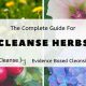 Gentle Herbal Cleansing: Your Body's Natural Detox | The Ultimate Herbal Remedies Guide: Natural Healing for a Healthier Life