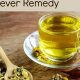 Best Herbal Tea for Fever Relief: Natural Remedies | The Ultimate Herbal Remedies Guide: Natural Healing for a Healthier Life