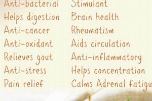 Discover the Herbal Benefits of Rosemary Today! The Ultimate Herbal Remedies Guide: Natural Healing for a Healthier Life Discover the Herbal Benefits of Rosemary Today! | The Ultimate Herbal Remedies Guide: Natural Healing for a Healthier Life