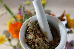Natural Herbal Remedy for OCD: Benefits & Risks Explored The Ultimate Herbal Remedies Guide: Natural Healing for a Healthier Life Natural Herbal Remedy for OCD: Benefits & Risks Explored | The Ultimate Herbal Remedies Guide: Natural Healing for a Healthier Life