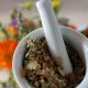 Natural Herbal Remedy for OCD: Benefits & Risks Explored | The Ultimate Herbal Remedies Guide: Natural Healing for a Healthier Life
