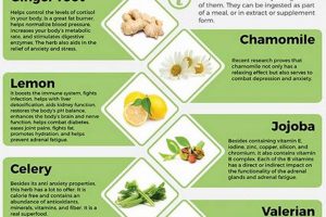 Natural Herbal Anti Anxiety: Find Calm & Relief The Ultimate Herbal Remedies Guide: Natural Healing for a Healthier Life Natural Herbal Anti Anxiety: Find Calm & Relief | The Ultimate Herbal Remedies Guide: Natural Healing for a Healthier Life