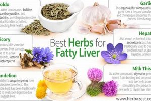 Best Fatty Liver Herbal Supplements: Natural Liver Support Guide The Ultimate Herbal Remedies Guide: Natural Healing for a Healthier Life Best Fatty Liver Herbal Supplements: Natural Liver Support Guide | The Ultimate Herbal Remedies Guide: Natural Healing for a Healthier Life