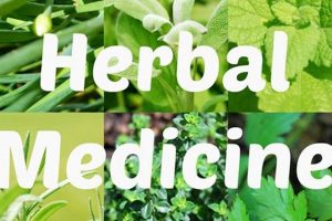 Understanding What is Herbal? Benefits & Uses The Ultimate Herbal Remedies Guide: Natural Healing for a Healthier Life Understanding What is Herbal? Benefits & Uses | The Ultimate Herbal Remedies Guide: Natural Healing for a Healthier Life