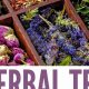 The Power of Herbal Blends: Your Ultimate Guide | The Ultimate Herbal Remedies Guide: Natural Healing for a Healthier Life