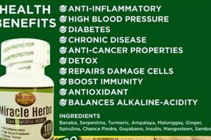 Unlocking Miracle Herbal Power: Benefits & Uses The Ultimate Herbal Remedies Guide: Natural Healing for a Healthier Life Unlocking Miracle Herbal Power: Benefits & Uses | The Ultimate Herbal Remedies Guide: Natural Healing for a Healthier Life