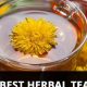 Kidney Support: Best Herbal Tea for Kidneys ✓ Natural | The Ultimate Herbal Remedies Guide: Natural Healing for a Healthier Life