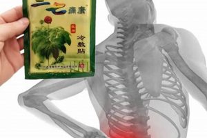 Ancient Chinese Herbal Patches: Relief & Healing The Ultimate Herbal Remedies Guide: Natural Healing for a Healthier Life Ancient Chinese Herbal Patches: Relief & Healing | The Ultimate Herbal Remedies Guide: Natural Healing for a Healthier Life