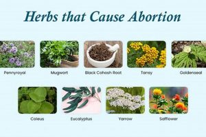 Natural? Herbal Remedies for Abortion: Risks & Info The Ultimate Herbal Remedies Guide: Natural Healing for a Healthier Life Natural? Herbal Remedies for Abortion: Risks & Info | The Ultimate Herbal Remedies Guide: Natural Healing for a Healthier Life