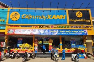 Shop Dien Tho Duong Herbal Store: Remedies & More The Ultimate Herbal Remedies Guide: Natural Healing for a Healthier Life Shop Dien Tho Duong Herbal Store: Remedies & More | The Ultimate Herbal Remedies Guide: Natural Healing for a Healthier Life