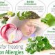 Understanding Herbal Allergy: Symptoms & Relief | The Ultimate Herbal Remedies Guide: Natural Healing for a Healthier Life